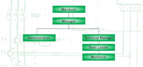 company Structure